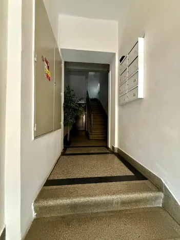 Pronájem obchodního prostoru, Ostrava - Mariánské Hory, Korunní, 30 m2