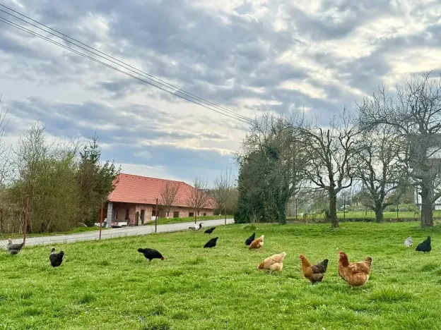 Prodej vícegeneračního domu, Volyně, Domova mládeže, 183 m2