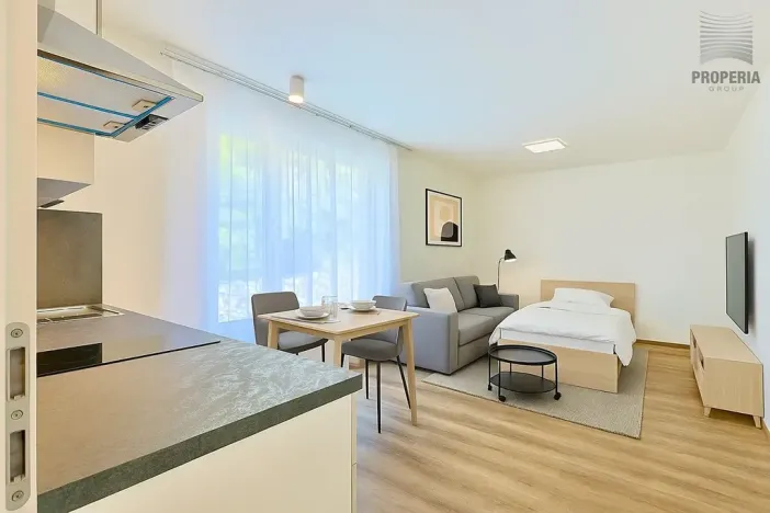 Pronájem bytu 1+kk, Brno, Bystrcká, 30 m2