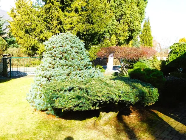 Prodej rodinného domu, Čeladná, 97 m2