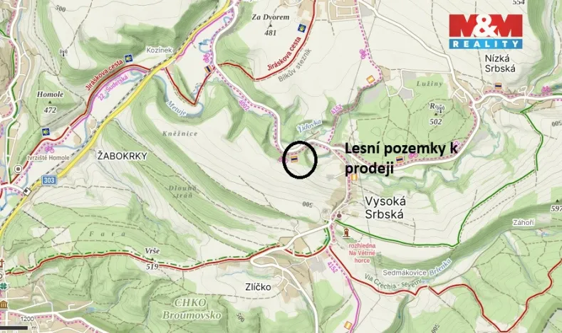 Prodej louky, Vysoká Srbská, 26000 m2