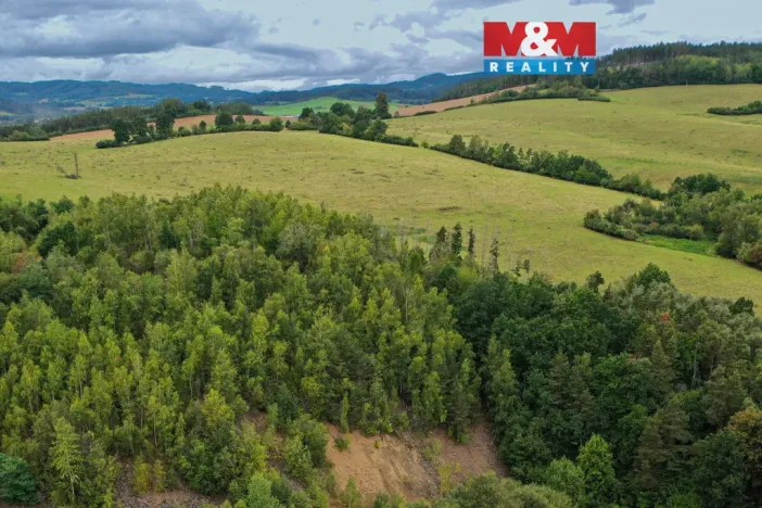 Prodej pozemku, Hrdlív, 17275 m2