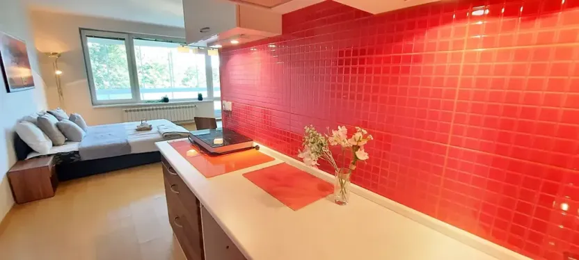 Pronájem bytu 1+kk, Brno, Šemberova, 51 m2