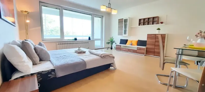 Pronájem bytu 1+kk, Brno, Šemberova, 51 m2