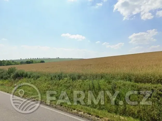 Prodej pole, Čejkovice, 194311 m2