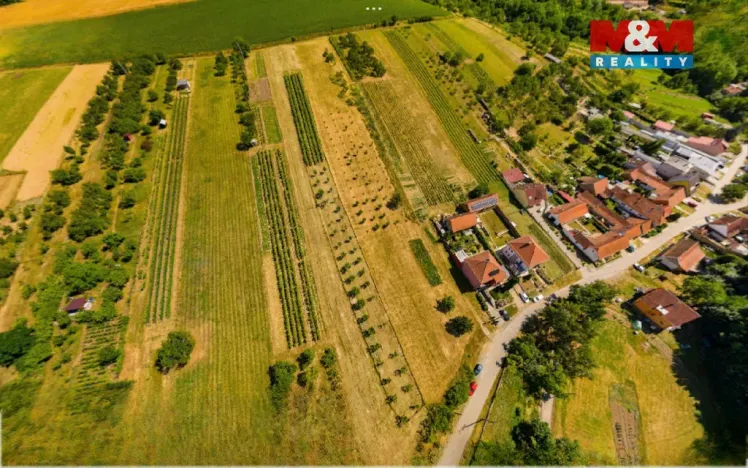 Prodej pozemku pro bydlení, Borkovany, 7835 m2