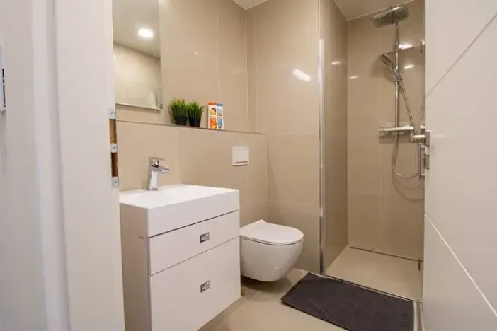 Pronájem bytu 2+kk, Praha - Vinohrady, Perucká, 45 m2