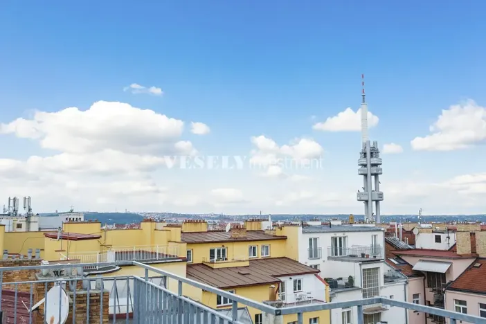 Prodej bytu 4+kk, Praha - Žižkov, Vinohradská, 139 m2