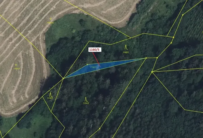 Dražba lesa, Letohrad, 282 m2