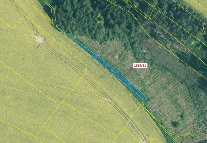 Dražba lesa, Hosty, 323 m2