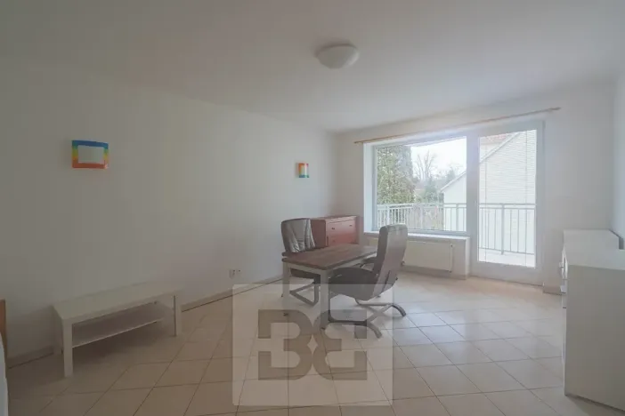 Pronájem bytu 1+1, České Budějovice, 51 m2