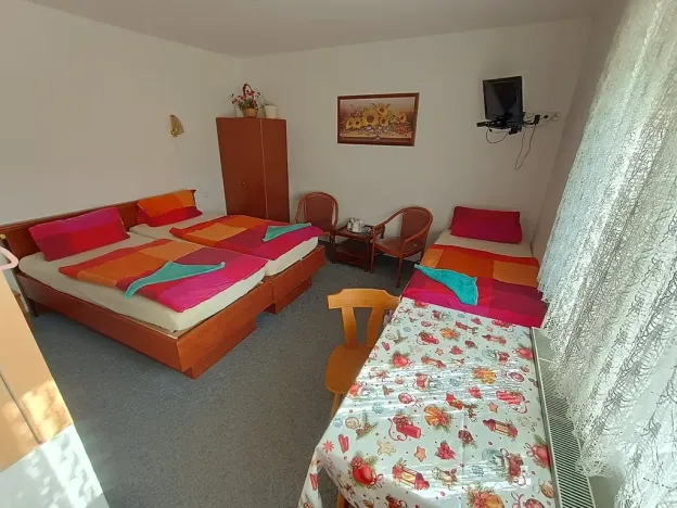 Prodej ubytování, Ostrov, Jáchymovská, 350 m2