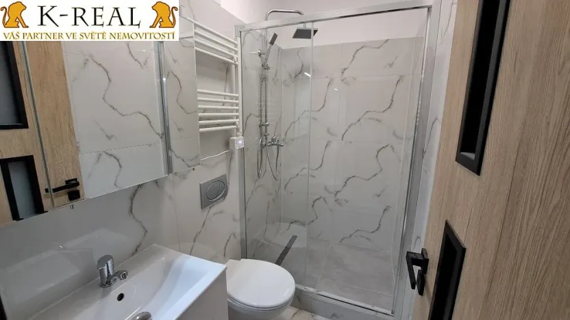 Pronájem bytu 1+kk, Šebrov-Kateřina, 46 m2