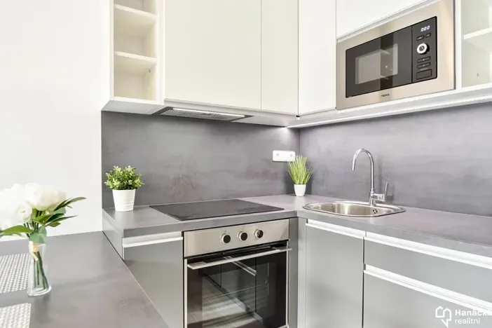 Pronájem bytu 1+kk, Olomouc, Věry Pánkové, 33 m2