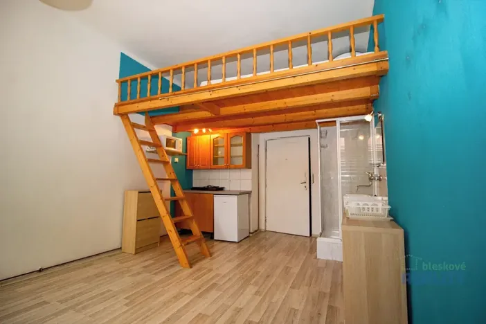 Pronájem bytu 1+kk, Praha - Žižkov, Vlkova, 22 m2