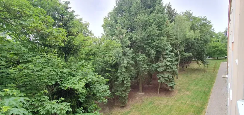 Pronájem bytu 2+1, Praha - Břevnov, Boučkova, 53 m2