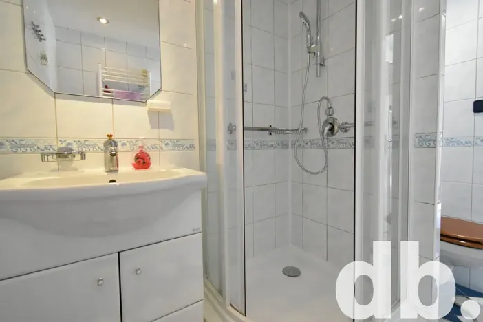 Pronájem bytu 2+1, Karlovy Vary, Závodu míru, 60 m2