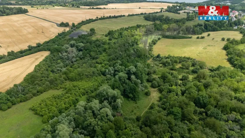 Prodej louky, Chabařovice - Roudníky, 46243 m2