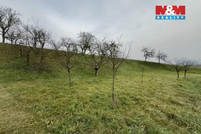 Prodej zahrady, Bezuchov, 901 m2