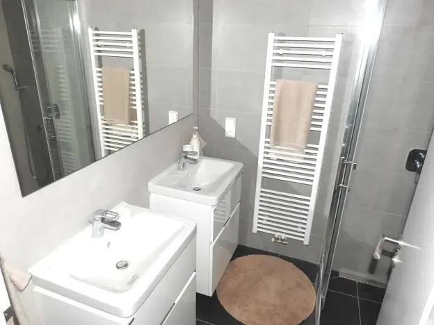 Pronájem bytu 1+kk, Praha - Žižkov, Buchovcova, 48 m2