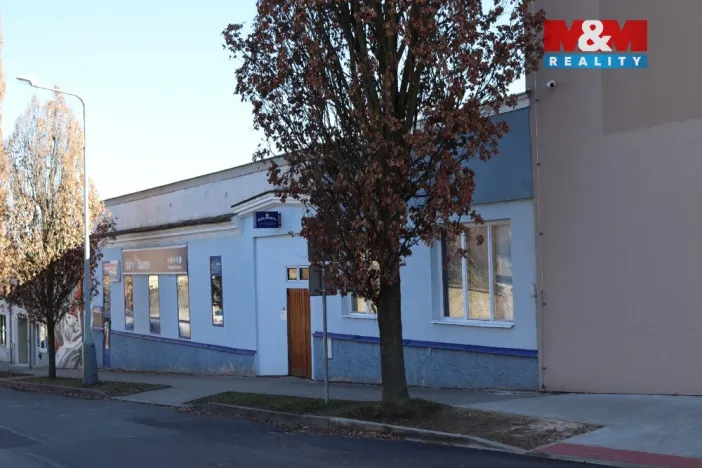 Prodej obchodního prostoru, Mělník, Krombholcova, 300 m2