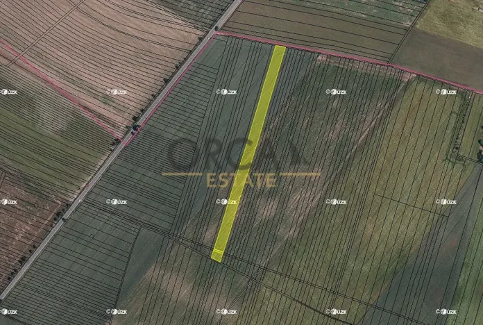 Prodej podílu pole, Holasice, 3024 m2