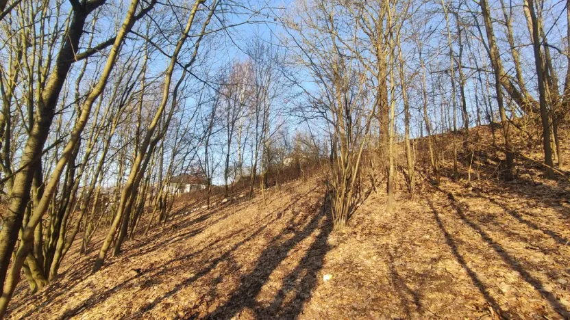 Prodej pozemku, Nemile, 705 m2