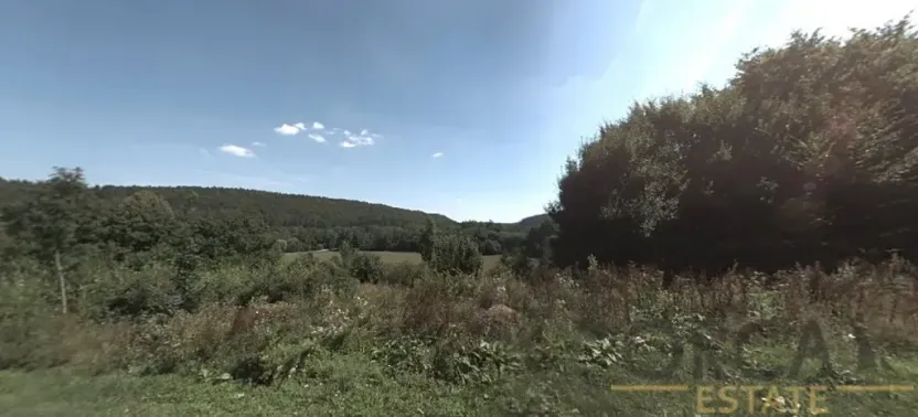 Prodej louky, Luže, 6578 m2