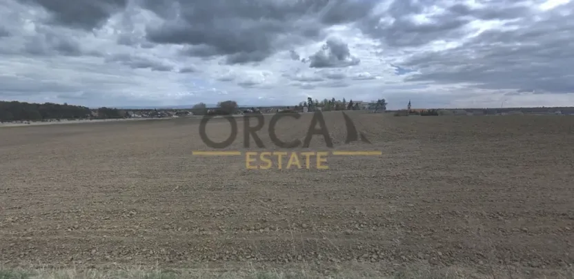 Prodej pozemku pro bydlení, Ratíškovice, 2789 m2