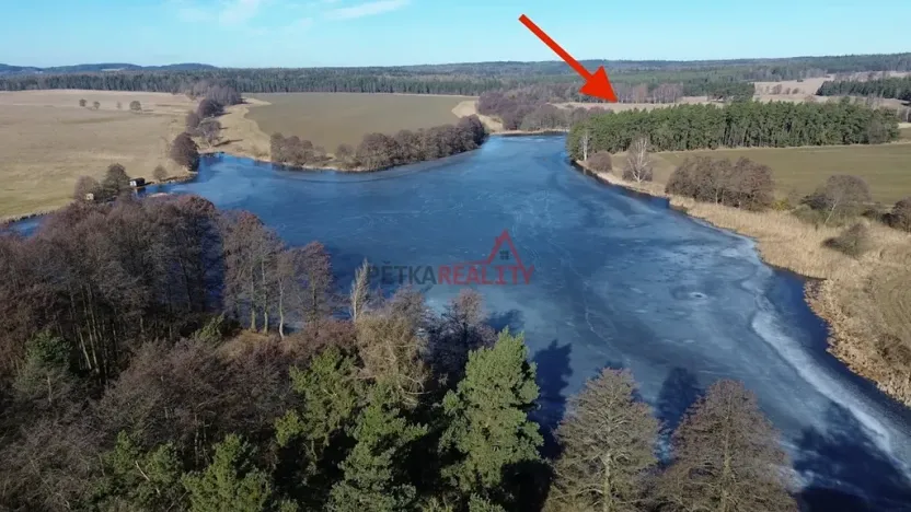 Prodej lesa, Čistá, 1294 m2