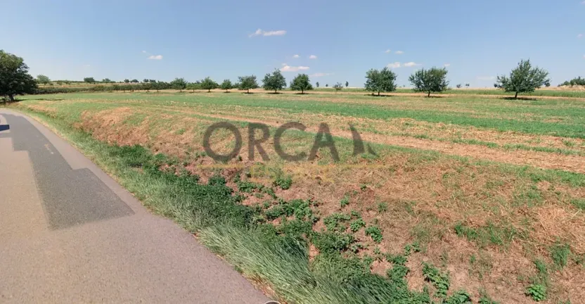 Prodej pole, Moravský Písek, 11506 m2