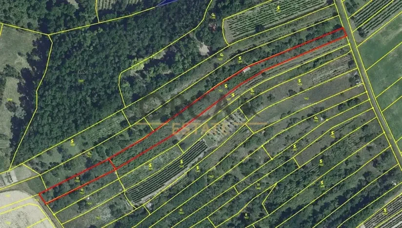 Prodej sadu/vinice, Velké Němčice, 2803 m2