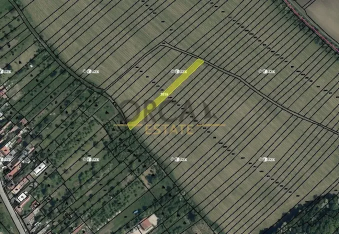 Prodej pole, Radějov, 1222 m2