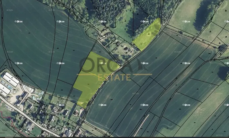 Prodej pole, Borovnička, 11661 m2