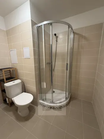 Pronájem bytu 2+1, Karlovy Vary, Koptova, 55 m2