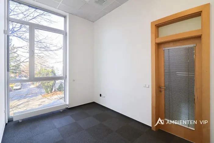 Pronájem kanceláře, Brno, 248 m2
