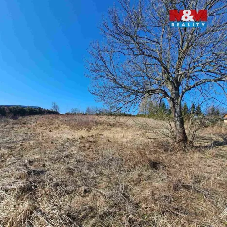 Prodej pozemku pro bydlení, Dětřichov nad Bystřicí, 3937 m2