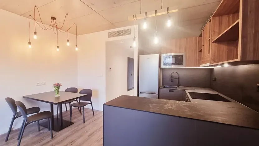 Pronájem bytu 2+kk, Brno, V rejích, 49 m2