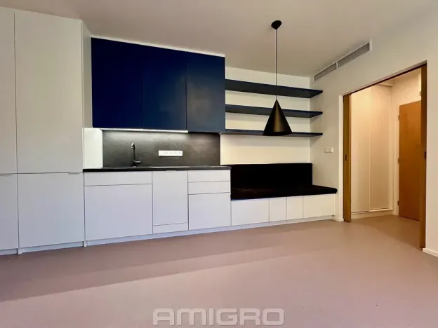 Pronájem bytu 1+kk, Brno, Peroutková, 25 m2