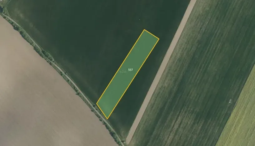 Prodej pole, Bezděkov, 9812 m2