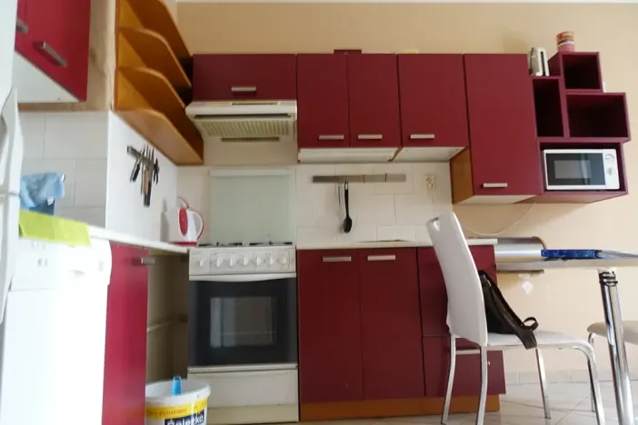 Pronájem bytu 1+1, Brno, Slatinská, 48 m2