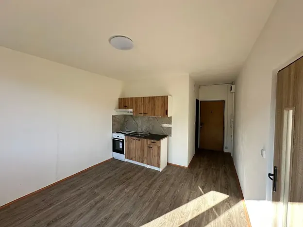 Pronájem bytu 1+1, Děčín, Na Pěšině, 36 m2