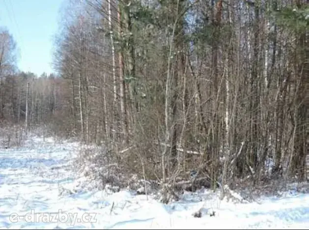 Dražba pozemku, Hamr na Jezeře, 23639 m2