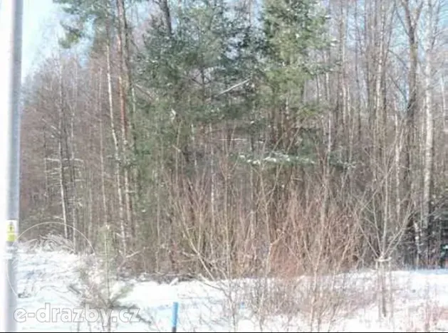 Dražba pozemku, Hamr na Jezeře, 23639 m2