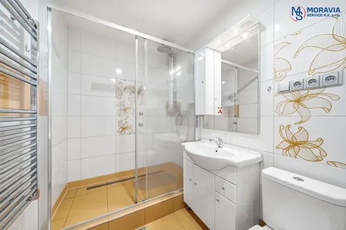 Prodej bytu 1+1, Olomouc, Javoříčská, 54 m2