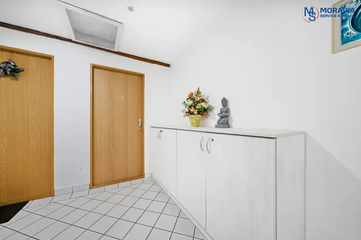 Prodej bytu 1+1, Olomouc, Javoříčská, 54 m2