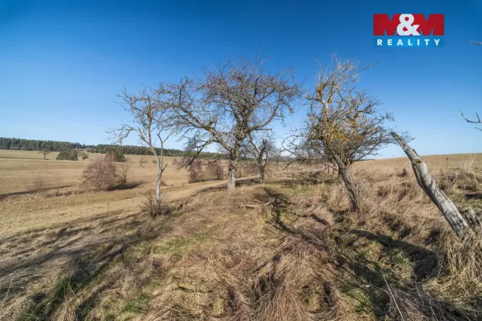 Prodej pozemku, Olbramov - Zádub, 4189 m2