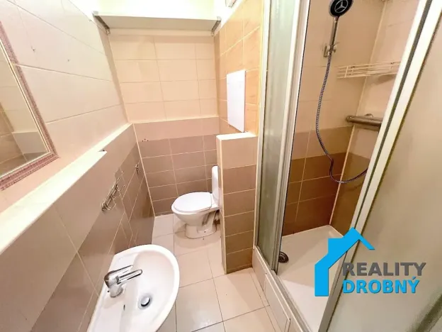 Pronájem bytu 1+1, Děčín, Pražská, 42 m2