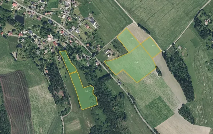 Prodej podílu louky, Jílové u Držkova, 11111 m2