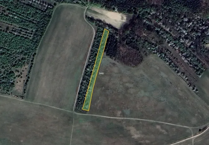 Prodej pole, Černouček, 10080 m2